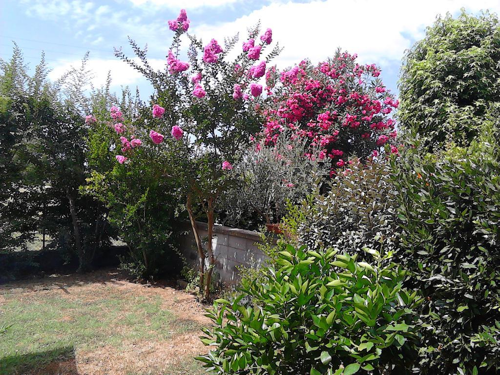 Bed And Breakfast Catherina Ponsacco Exterior foto